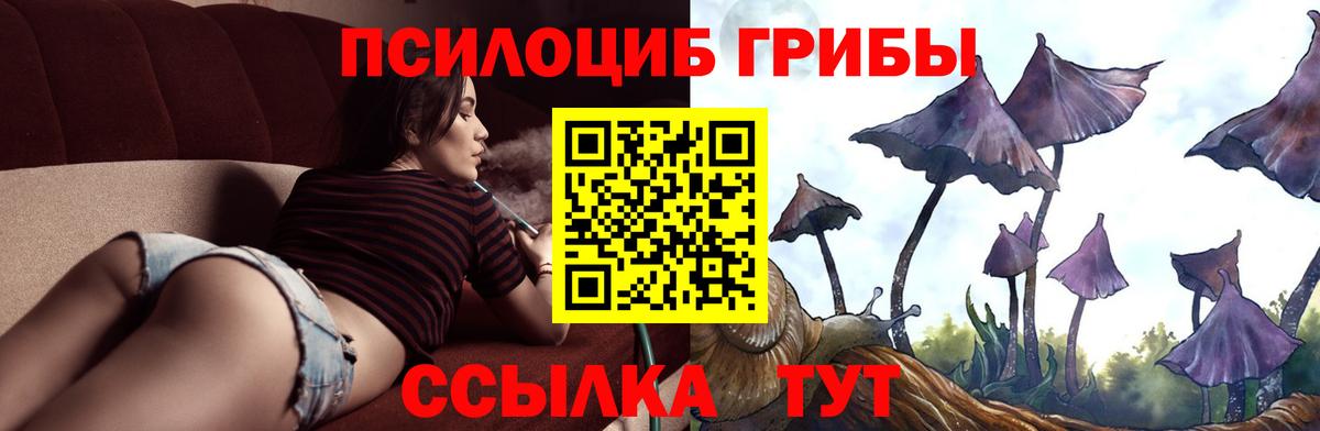 Тосно  Псилоцибиновые грибы ЛСД  Вход с VPN 